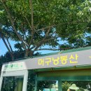 머구낭동산 티스토리