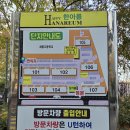 경일아파트 앞 주도로A | 수서한아름 임장