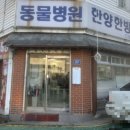 한양한방동물병원 이미지