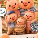 다둥이 축산 네이버블로그