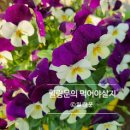 기배기 | 진안>기배기 카페/힐링되는 카페/사계절카페/진안카페추천/내돈내산 솔직후기