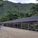 솔밭캠프 이미지