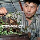 김주화농장 이미지