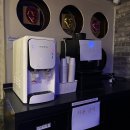 도그 앤 캣츠 이미지