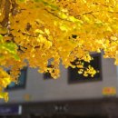 무궁화추어탕 이미지