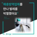 해충방역 업체를 만나 해결한 벌레 박멸
