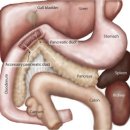 파리스동물병원 이미지