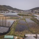 지천농장 이미지