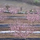 선학농장 이미지