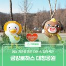 금강로하스 해피로드(2) | 봄의 기운을 품은 자연 속 힐링 공간 &#39;금강로하스 대청공원&#39;