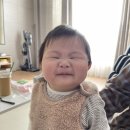 지성이 해물찜 이미지