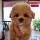 소향로55-15 이미지