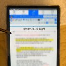 루비의원 루비레이저 후기ㅣ주근깨 1주만에 다 사라짐 (비포애프터 + 회복기간 정리)