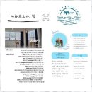 몸과 마음의 조화를 찾아가는 명상과 기체조 | 풍암동하타요가 내면의 빛을 찾아가는 여정, 마하트요가 후기