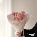 라베일르 이미지