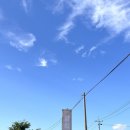 세븐일레븐김포대곶중앙점 | [김포/대곶/식당] 가을엔 대하구이! 약암양식장 (가격/이용방법/준비물/후기)
