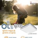화인조명 이미지