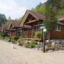 솔내음과 물소리 이미지