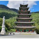 무안영산 이미지