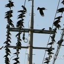 한국전력공사사천지점