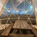 와이키키 | 한강 야외바베큐 와이키키마켓 내돈내산 후기