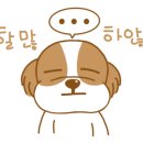 토론토 동물병원 이미지