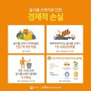 무지개재능유치원 이미지
