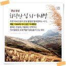 2019년 10월 20일 제266회차 창녕 화왕산 억새 산행 안내 이미지