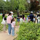 능골근린공원 이미지