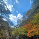 꽃돌식당 이미지