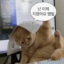 우리들이 보는 세상 | 39.9도 찍었던 RSV후기/평택성모아이들/당진함상공원/예산우유농가/황금가지송어회