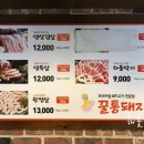 꿀통돼지