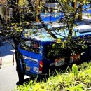 통정1리 이미지