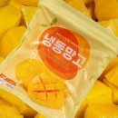 망고 - 송파구 송이로 102 | 망고