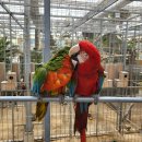 경주버드파크 이미지