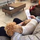 조양래동물병원 이미지