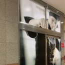 푸라닭대산점 이미지