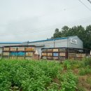 돌로미티천안 이미지