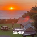 학포길 | 울릉도 자유여행 여기는 꼭! 학포캠핑장에서 2박3일 후기