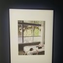 약사고개길 L | 그라운드 시소 한남 l 성률 작가 기획전, 여름을 닮은 우리 방문 후기