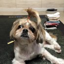와동초등학교 이미지