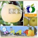 큰솔농장 이미지