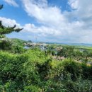 동읍스카이공인중개사사무소 이미지