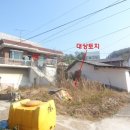 대지 이미지