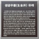 생금우물 이미지