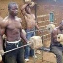 화이트애플 이미지