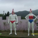 하동캐슬 이미지