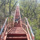 비비큐강원