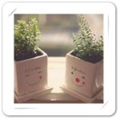 커피보이스