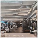 동탄 웰니스앤핏 PT 수업 후기 헬스 초보부터 고수까지, 나만의 맞춤 운동을 찾다